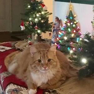 Meet your Posher, Kathleen